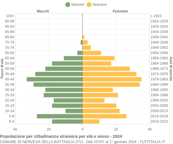 Grafico cittadini stranieri - Nervesa della Battaglia 2024