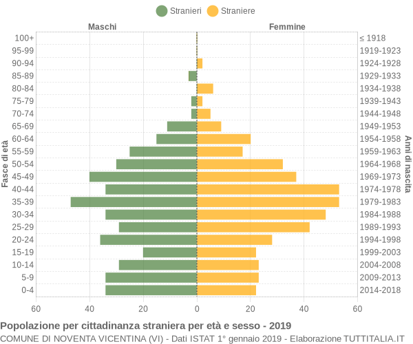 Grafico cittadini stranieri - Noventa Vicentina 2019