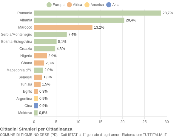 Grafico cittadinanza stranieri - Piombino Dese 2005