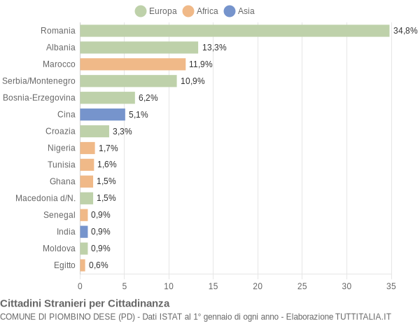 Grafico cittadinanza stranieri - Piombino Dese 2008