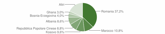 Grafico cittadinanza stranieri - Piombino Dese 2013