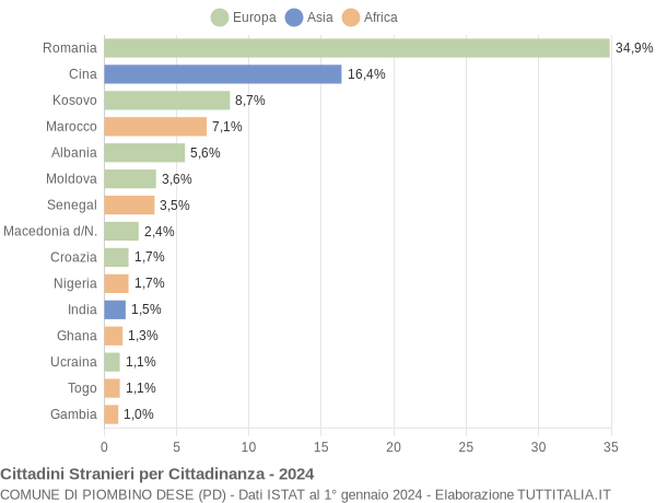 Grafico cittadinanza stranieri - Piombino Dese 2024