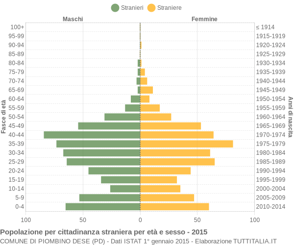 Grafico cittadini stranieri - Piombino Dese 2015