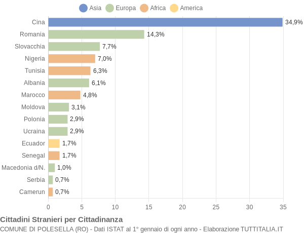 Grafico cittadinanza stranieri - Polesella 2009