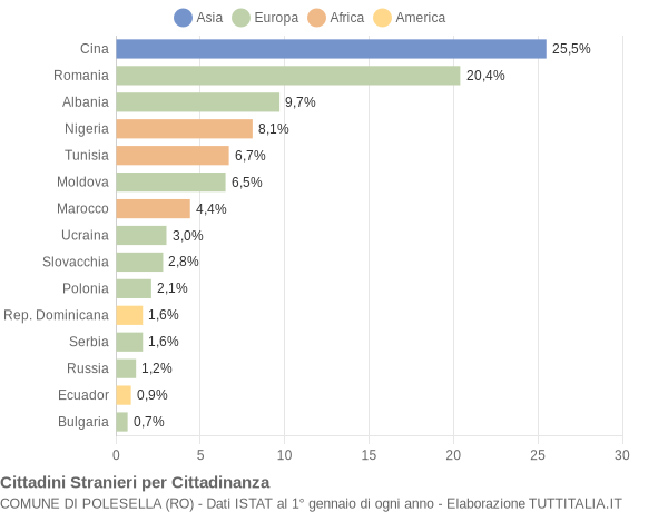 Grafico cittadinanza stranieri - Polesella 2013