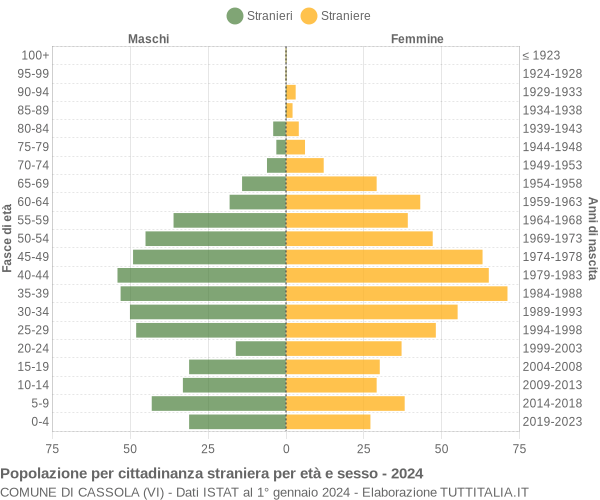 Grafico cittadini stranieri - Cassola 2024