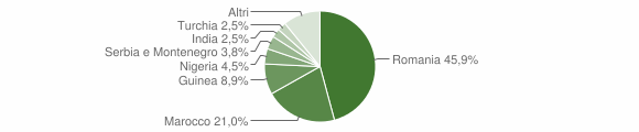 Grafico cittadinanza stranieri - Erbè 2008