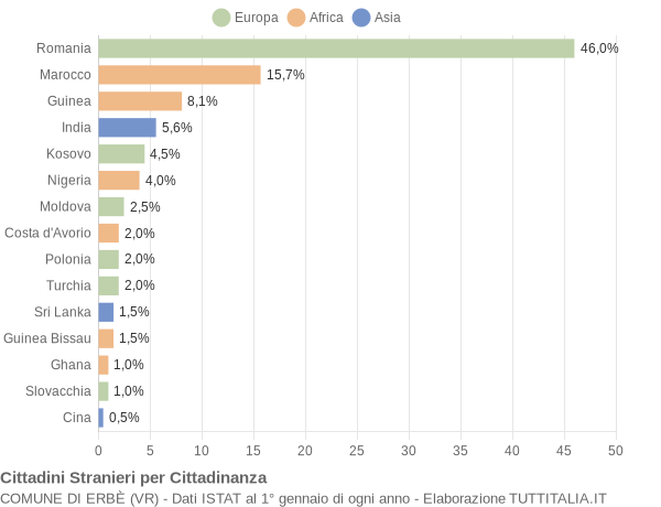 Grafico cittadinanza stranieri - Erbè 2009