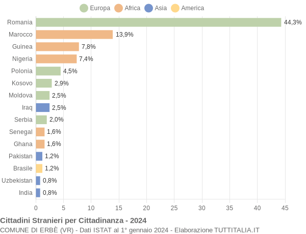 Grafico cittadinanza stranieri - Erbè 2024