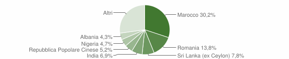 Grafico cittadinanza stranieri - Trevenzuolo 2006