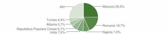 Grafico cittadinanza stranieri - Trevenzuolo 2008