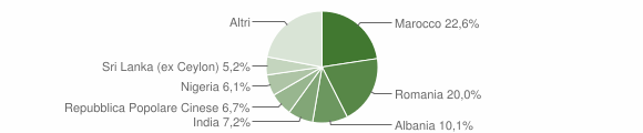 Grafico cittadinanza stranieri - Trevenzuolo 2009