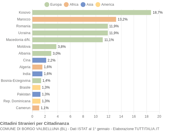 Grafico cittadinanza stranieri - Borgo Valbelluna 2021