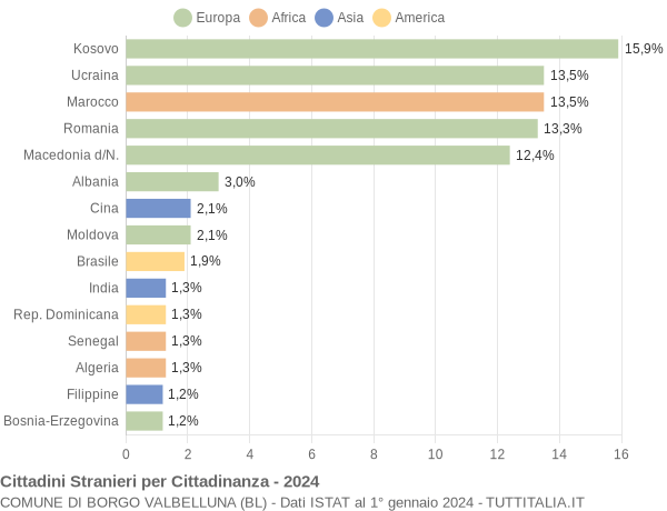 Grafico cittadinanza stranieri - Borgo Valbelluna 2024