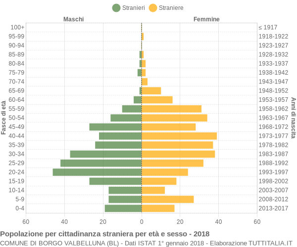 Grafico cittadini stranieri - Borgo Valbelluna 2018