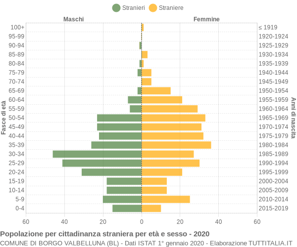 Grafico cittadini stranieri - Borgo Valbelluna 2020