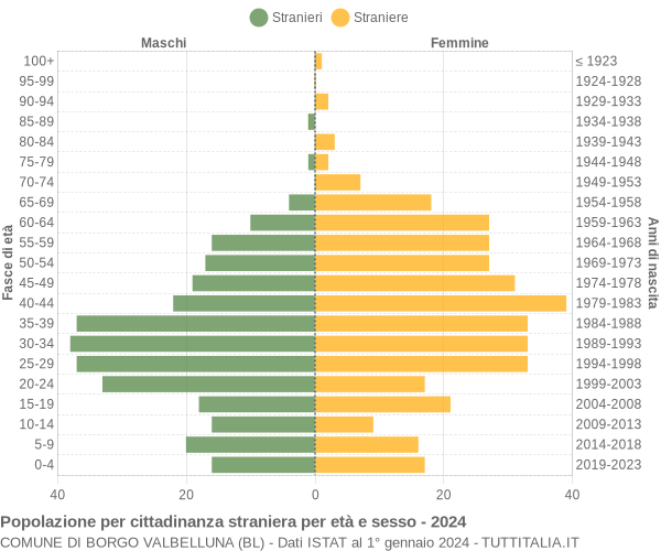 Grafico cittadini stranieri - Borgo Valbelluna 2024