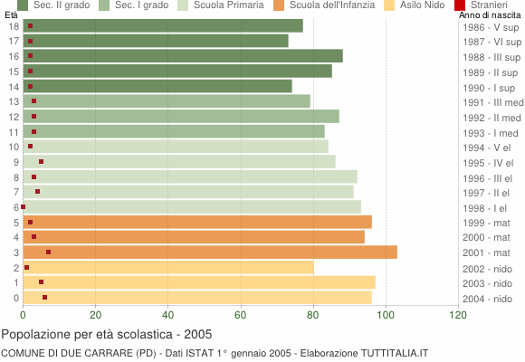 Grafico Popolazione in età scolastica - Due Carrare 2005