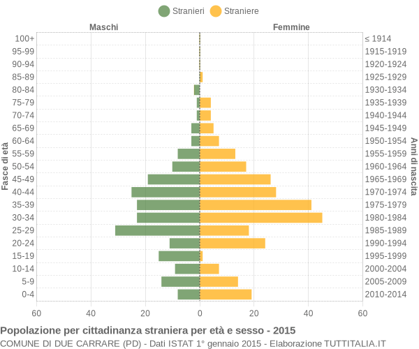 Grafico cittadini stranieri - Due Carrare 2015