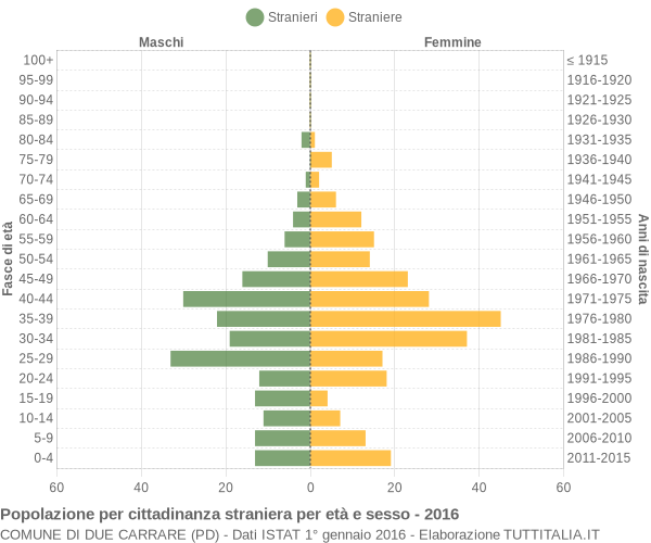 Grafico cittadini stranieri - Due Carrare 2016