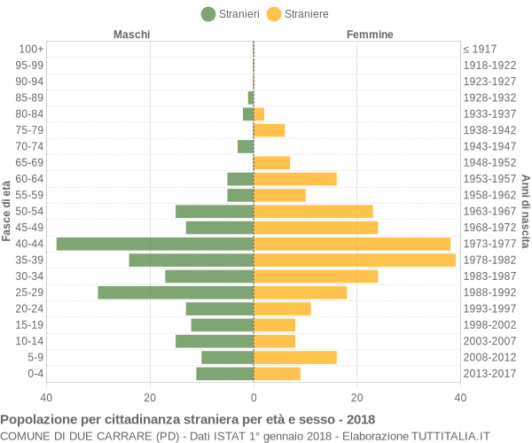 Grafico cittadini stranieri - Due Carrare 2018