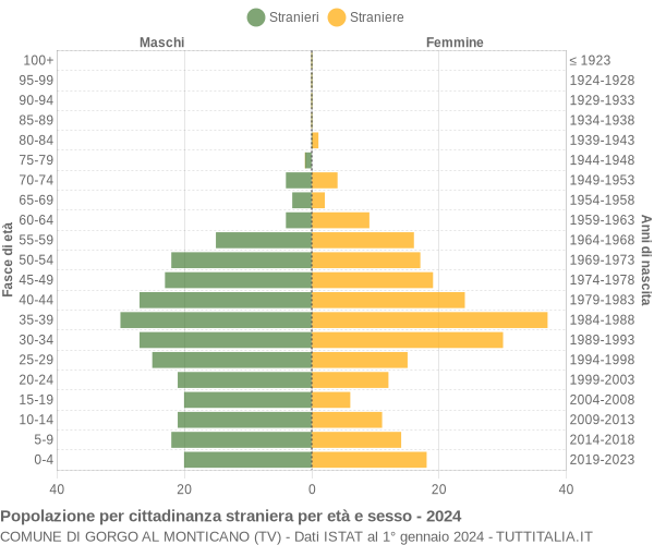 Grafico cittadini stranieri - Gorgo al Monticano 2024