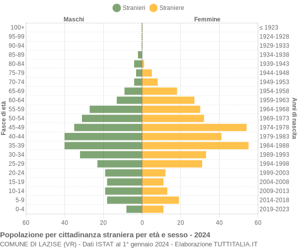 Grafico cittadini stranieri - Lazise 2024