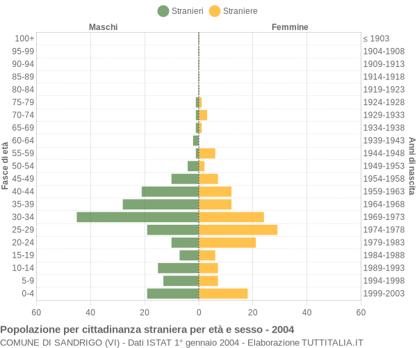 Grafico cittadini stranieri - Sandrigo 2004