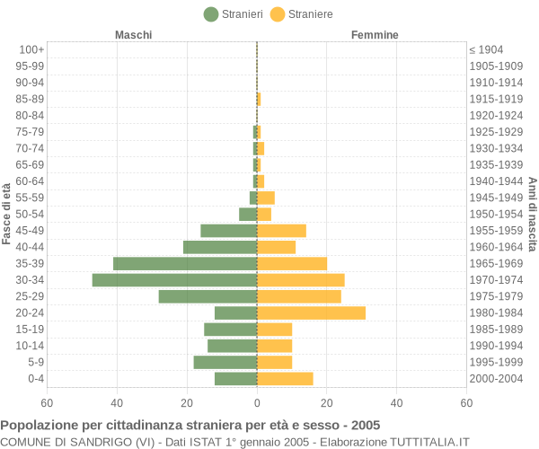 Grafico cittadini stranieri - Sandrigo 2005