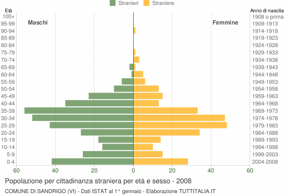 Grafico cittadini stranieri - Sandrigo 2008