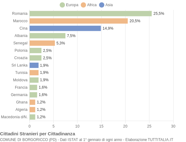 Grafico cittadinanza stranieri - Borgoricco 2004