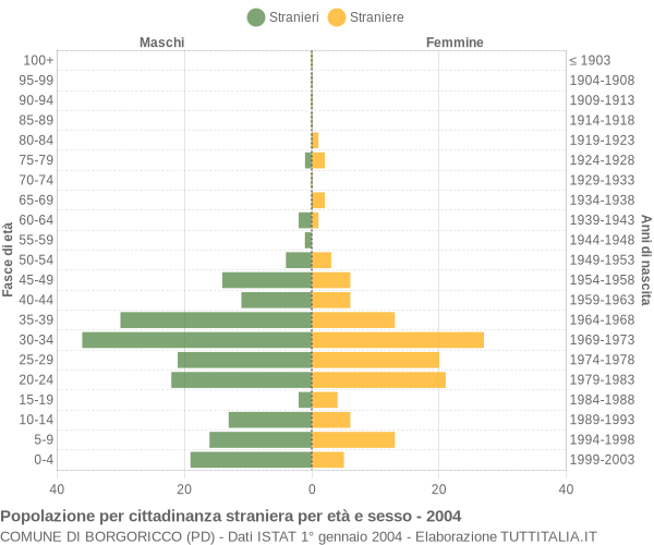 Grafico cittadini stranieri - Borgoricco 2004