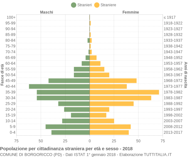 Grafico cittadini stranieri - Borgoricco 2018