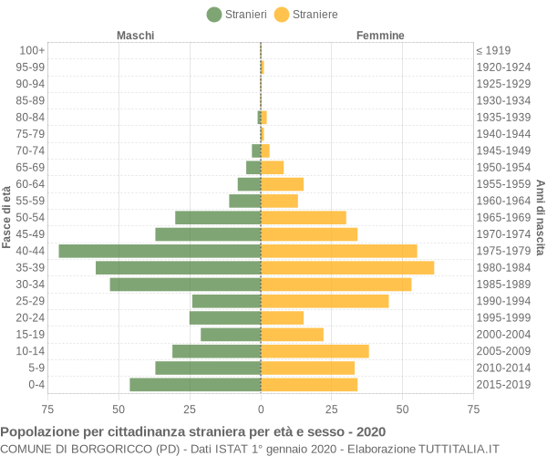 Grafico cittadini stranieri - Borgoricco 2020