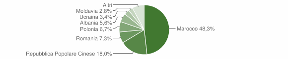 Grafico cittadinanza stranieri - Ficarolo 2010