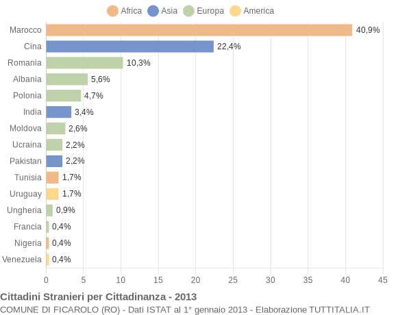 Grafico cittadinanza stranieri - Ficarolo 2013