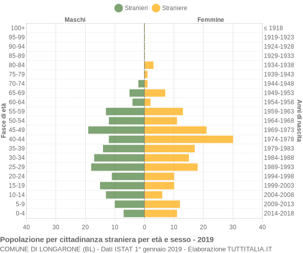 Grafico cittadini stranieri - Longarone 2019