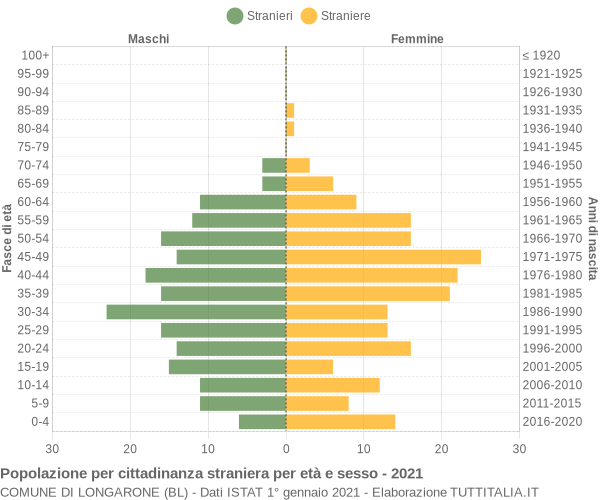 Grafico cittadini stranieri - Longarone 2021