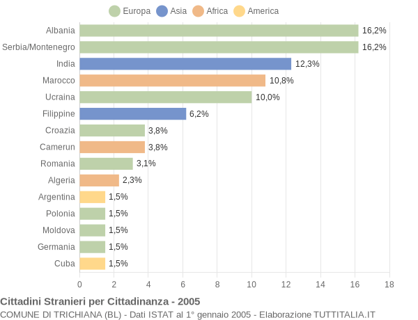 Grafico cittadinanza stranieri - Trichiana 2005