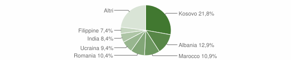 Grafico cittadinanza stranieri - Trichiana 2009