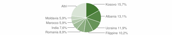 Grafico cittadinanza stranieri - Trichiana 2014