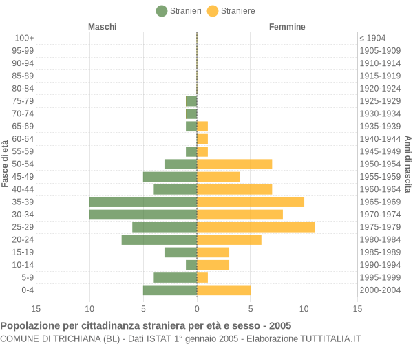 Grafico cittadini stranieri - Trichiana 2005