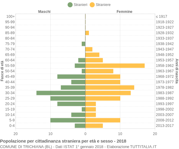 Grafico cittadini stranieri - Trichiana 2018