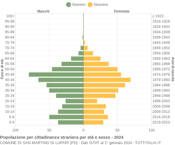 Grafico cittadini stranieri - San Martino di Lupari 2024