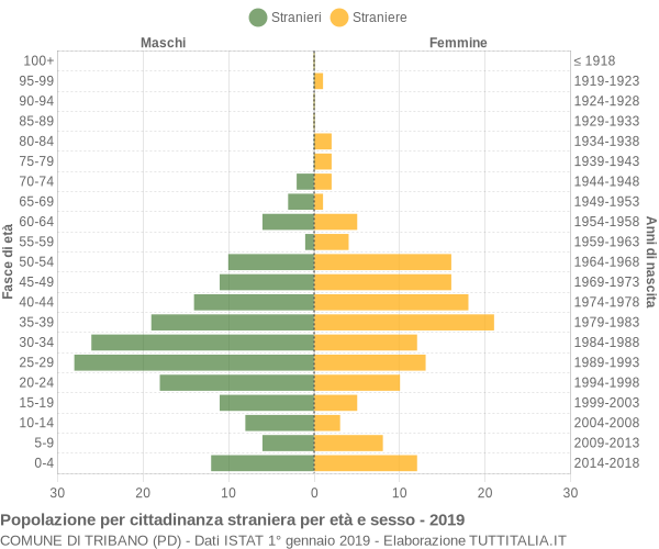 Grafico cittadini stranieri - Tribano 2019