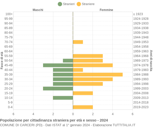 Grafico cittadini stranieri - Carceri 2024