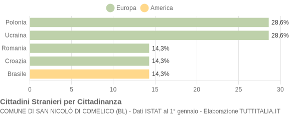 Grafico cittadinanza stranieri - San Nicolò di Comelico 2013