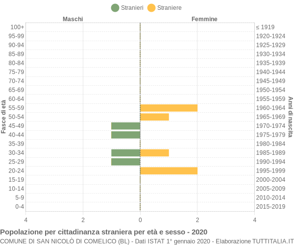 Grafico cittadini stranieri - San Nicolò di Comelico 2020