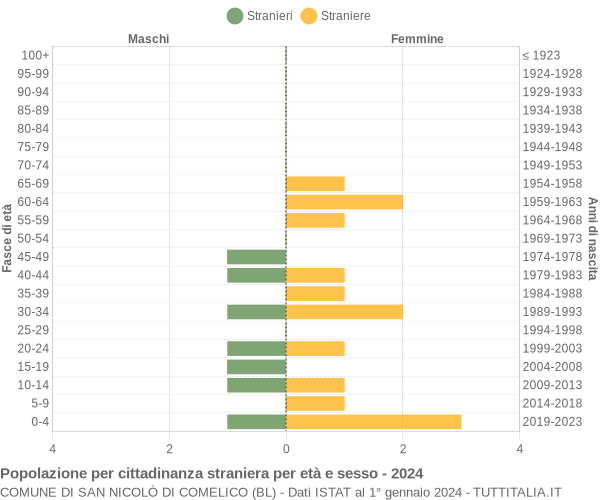 Grafico cittadini stranieri - San Nicolò di Comelico 2024