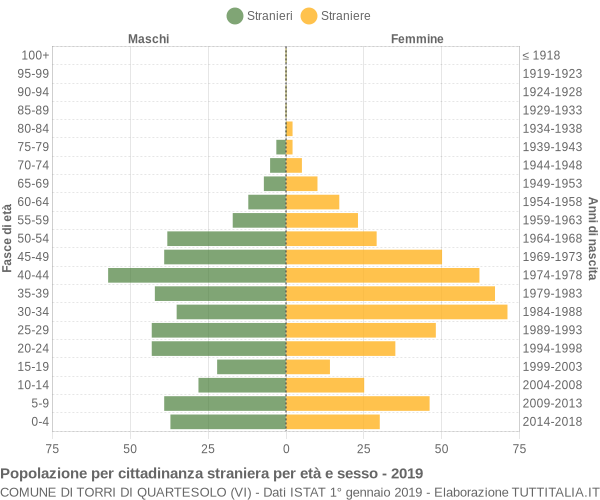 Grafico cittadini stranieri - Torri di Quartesolo 2019